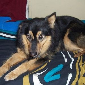 Meet your Posher, Lawrence